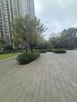 城市中静谧的休闲广场