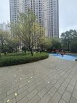 城市中的静谧休闲公园