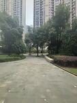 城市中的宁静林荫步道