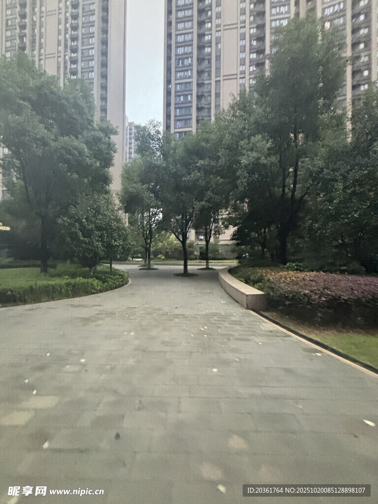 城市中的宁静林荫步道