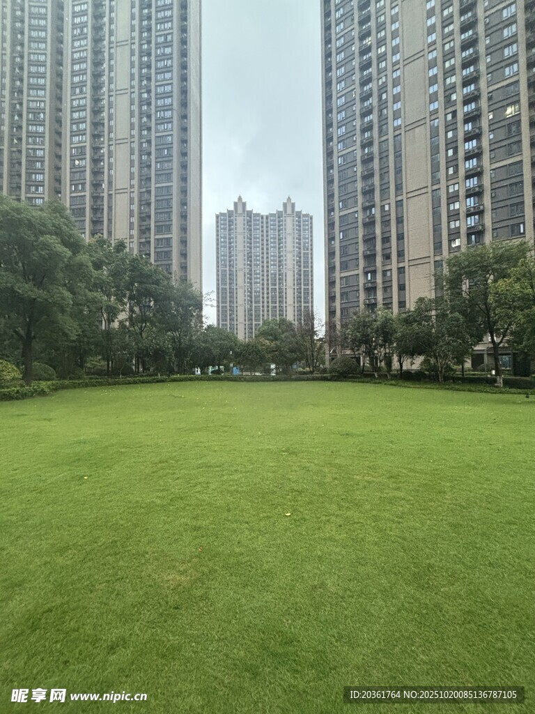 城市中葱郁草坪与高楼