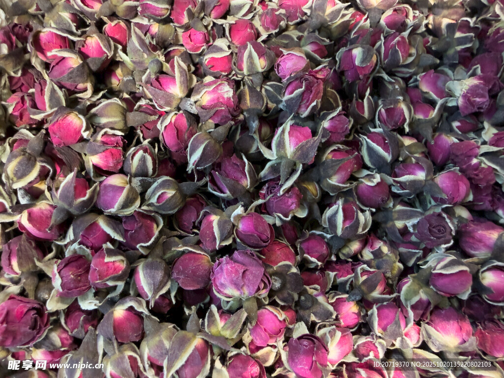 玫瑰花瓣堆积的美丽景象