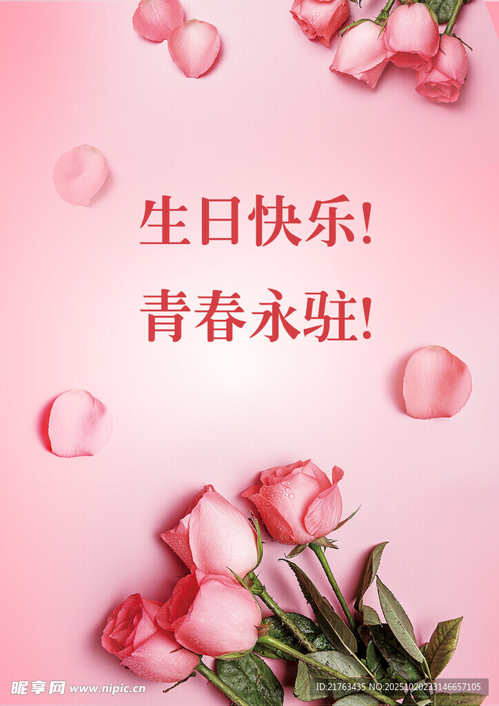 浪漫粉玫瑰