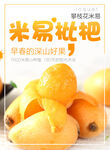 米易枇杷宣传海报