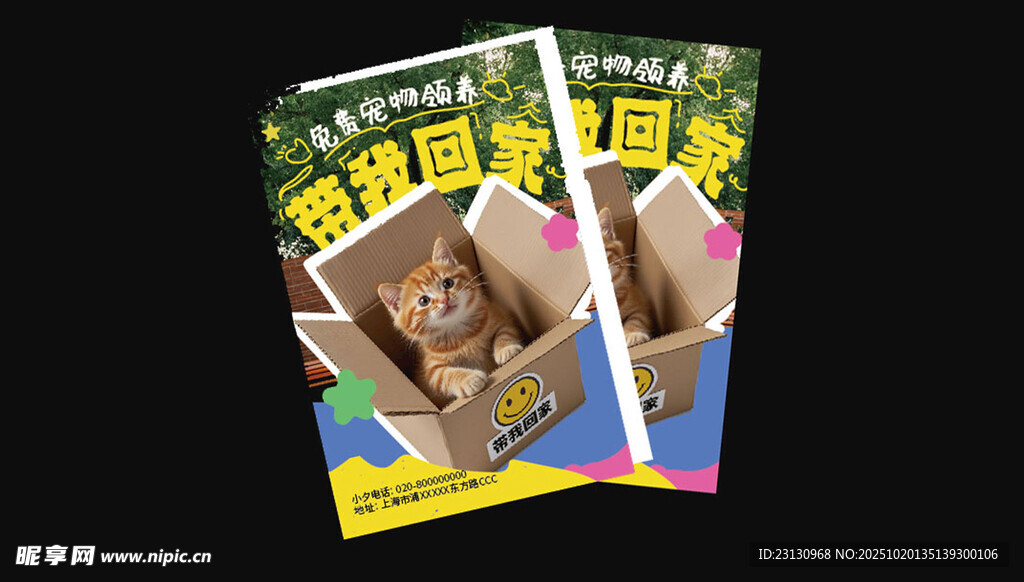 猫咪领养海报设计