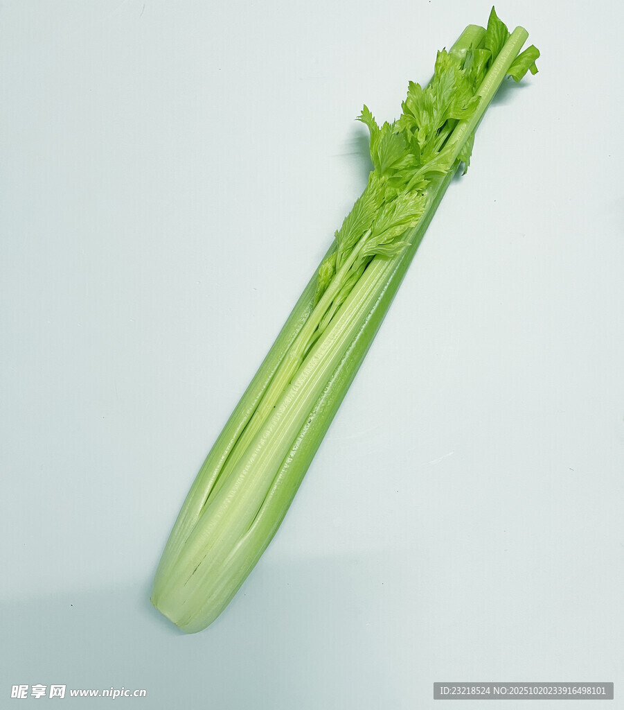 西芹