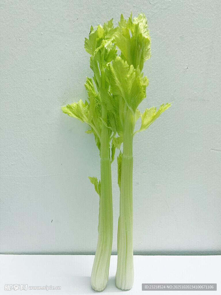 西芹