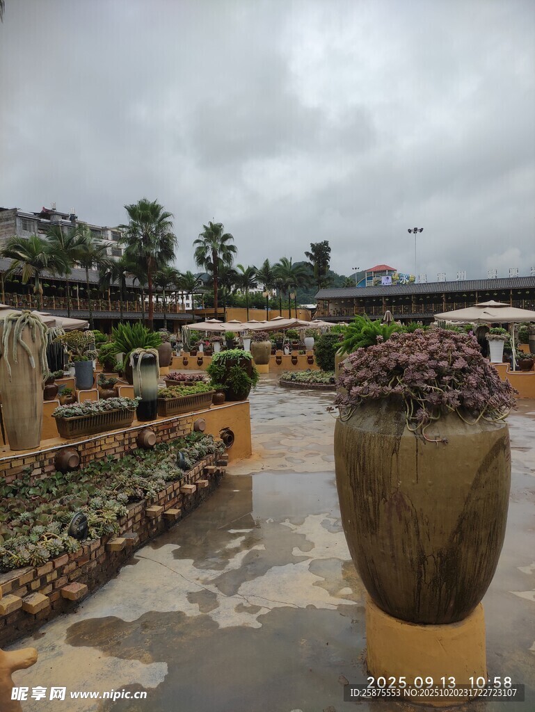 雨中花卉市场的大花盆