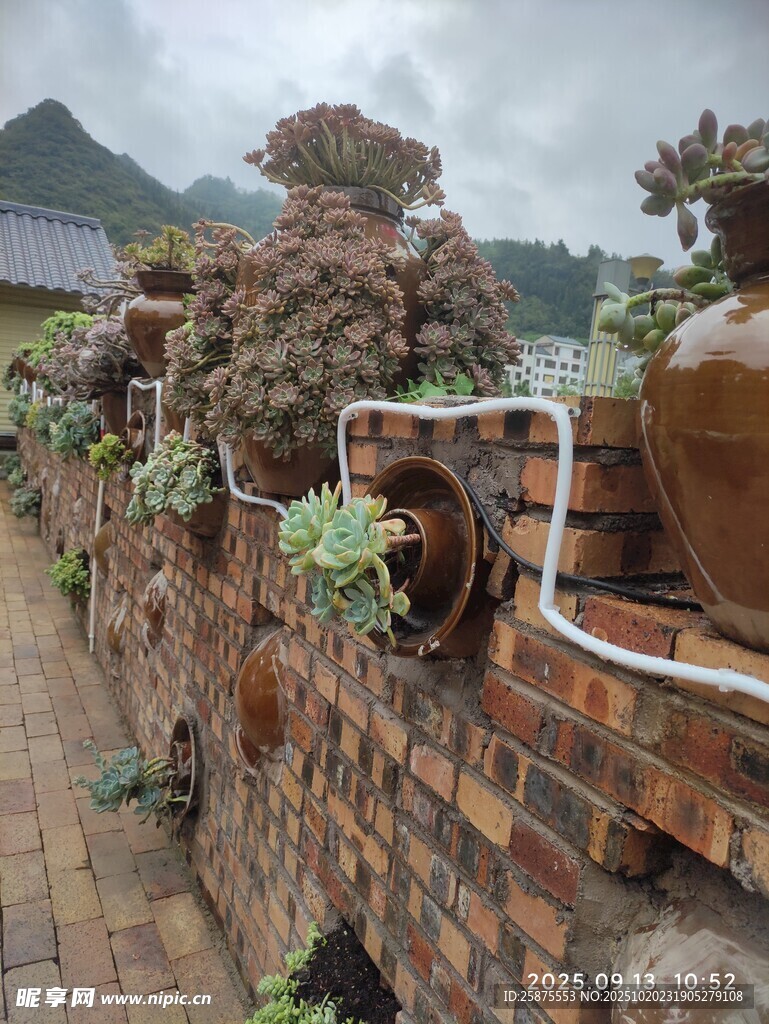 砖砌花墙  绿植点缀景致
