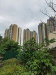 城市高楼与绿植景观
