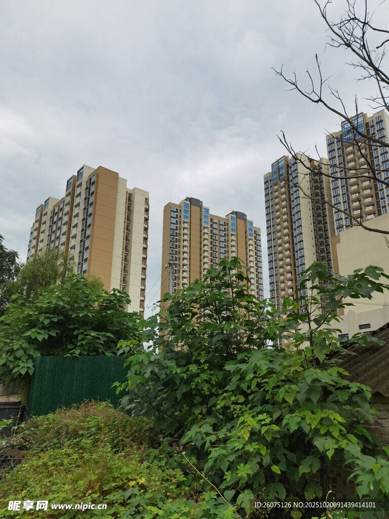 城市高楼与绿植景观
