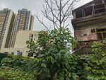 城市中荒废建筑与绿植景观
