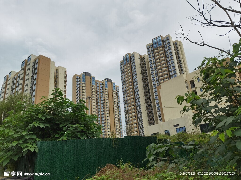 城市高楼与绿植景观