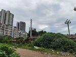 城市边的绿植与建筑景观
