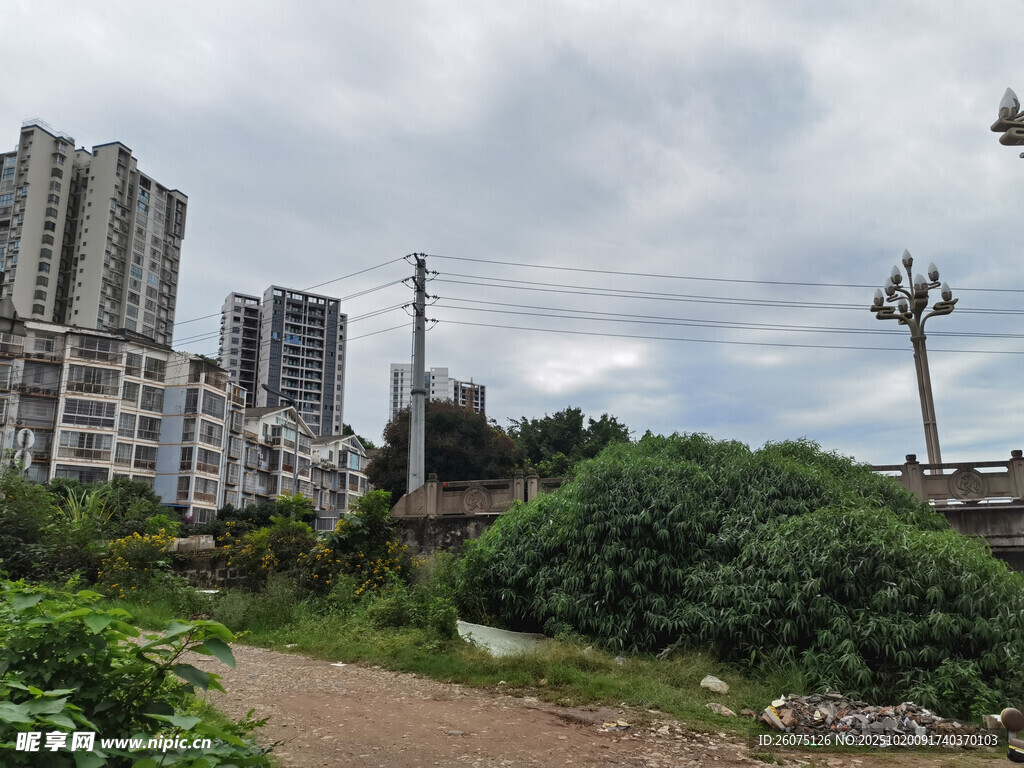 城市边的绿植与建筑景观