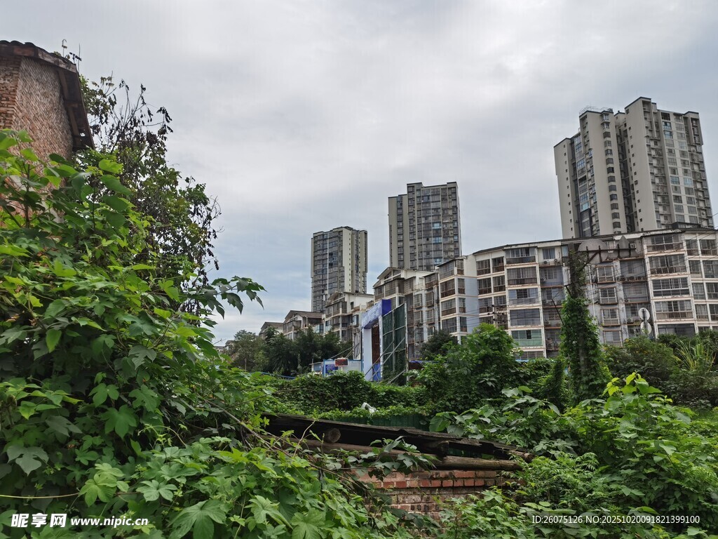 绿植环绕的城市高楼景观