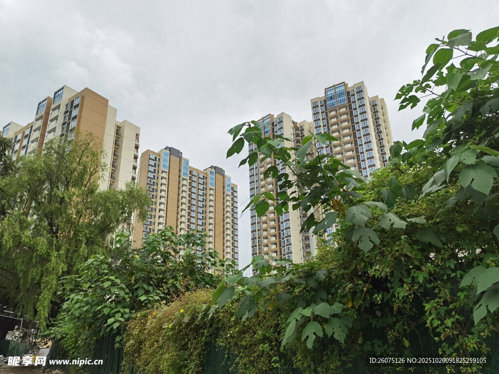 绿树环绕的高层住宅小区