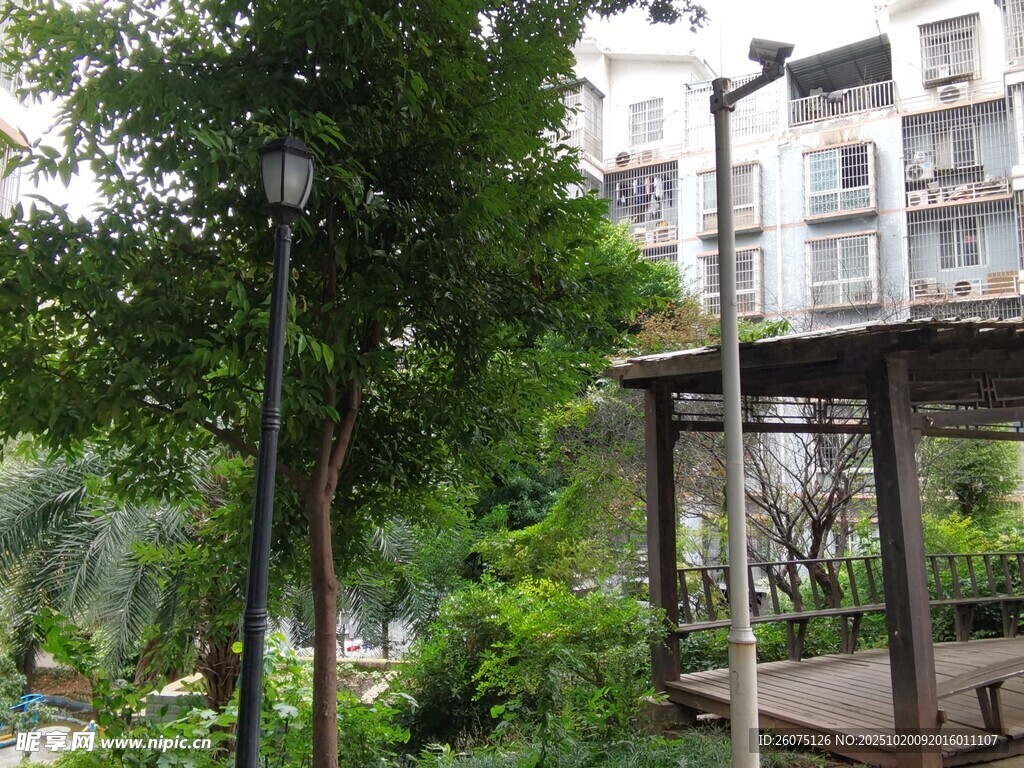 小区内的绿植与休闲凉亭