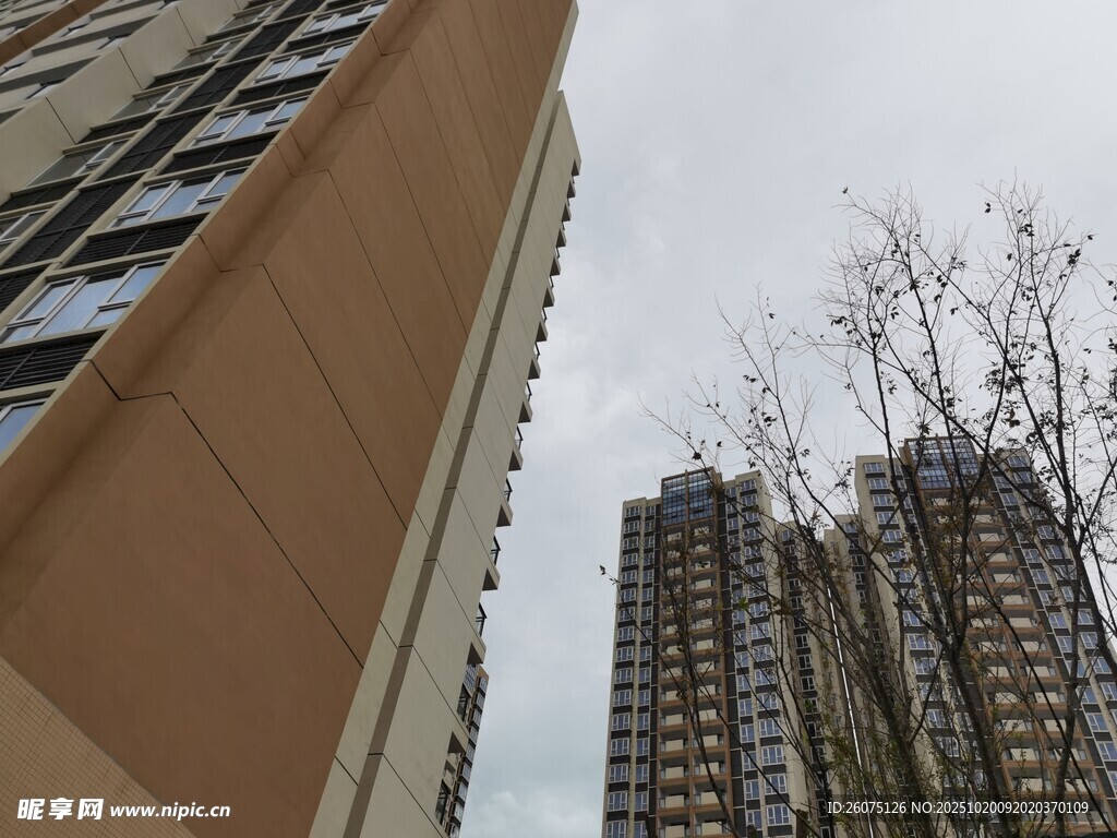 高楼林立的城市景象