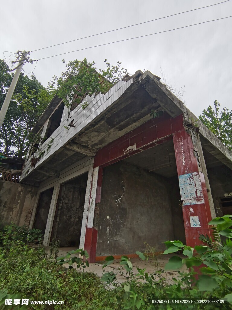 破旧废弃房屋杂草丛生