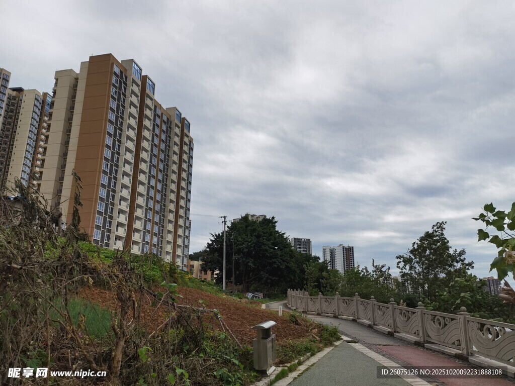 城市路旁景观与高层住宅