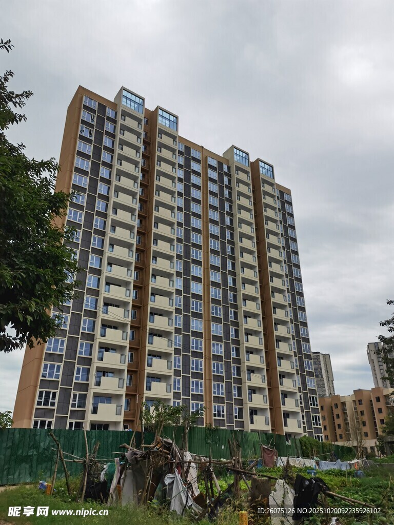 高层住宅楼旁的绿植景观