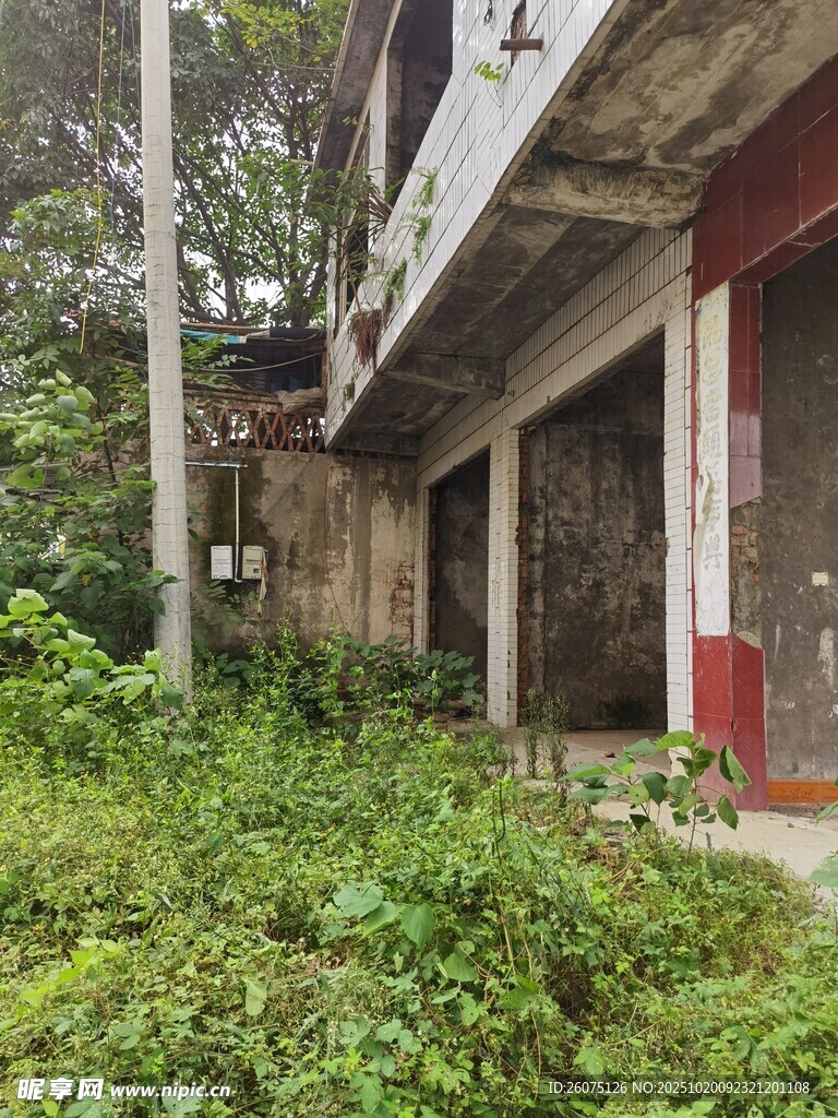 废弃建筑被绿植覆盖