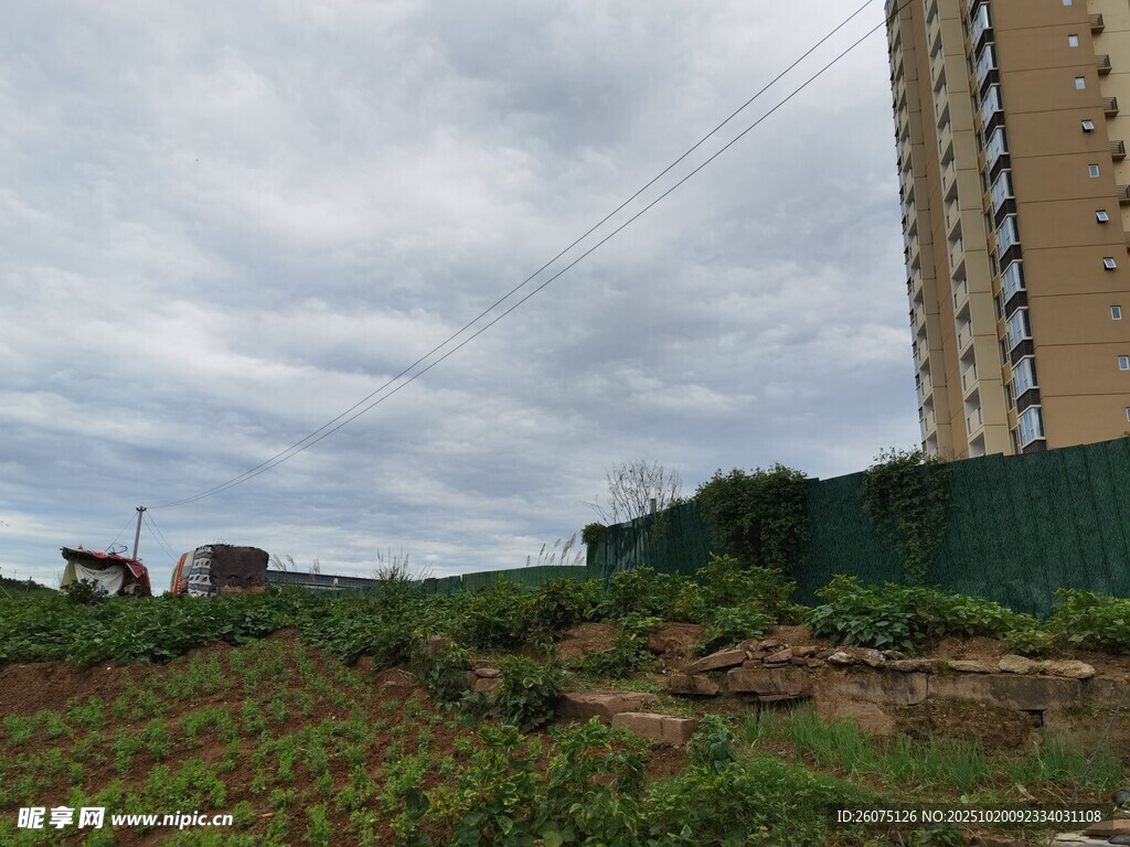 城市边的荒地与高楼