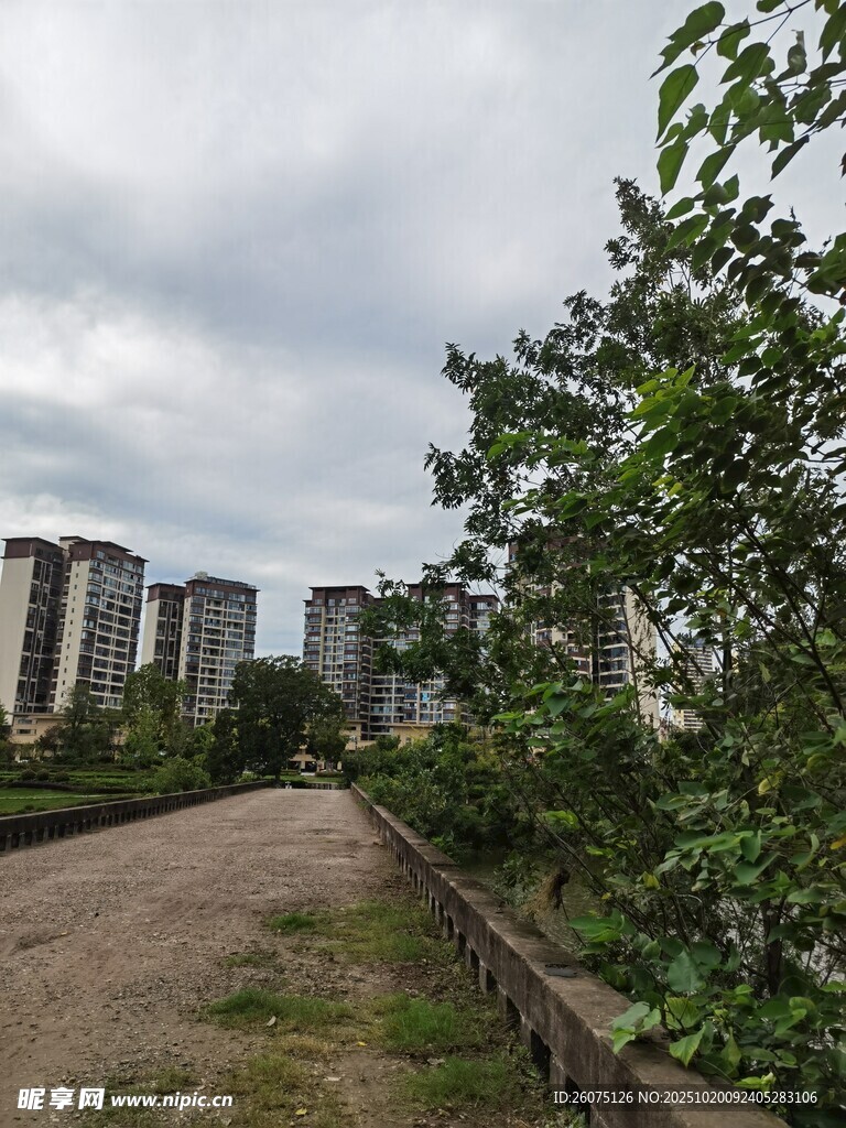 城郊小路旁的高楼与绿植