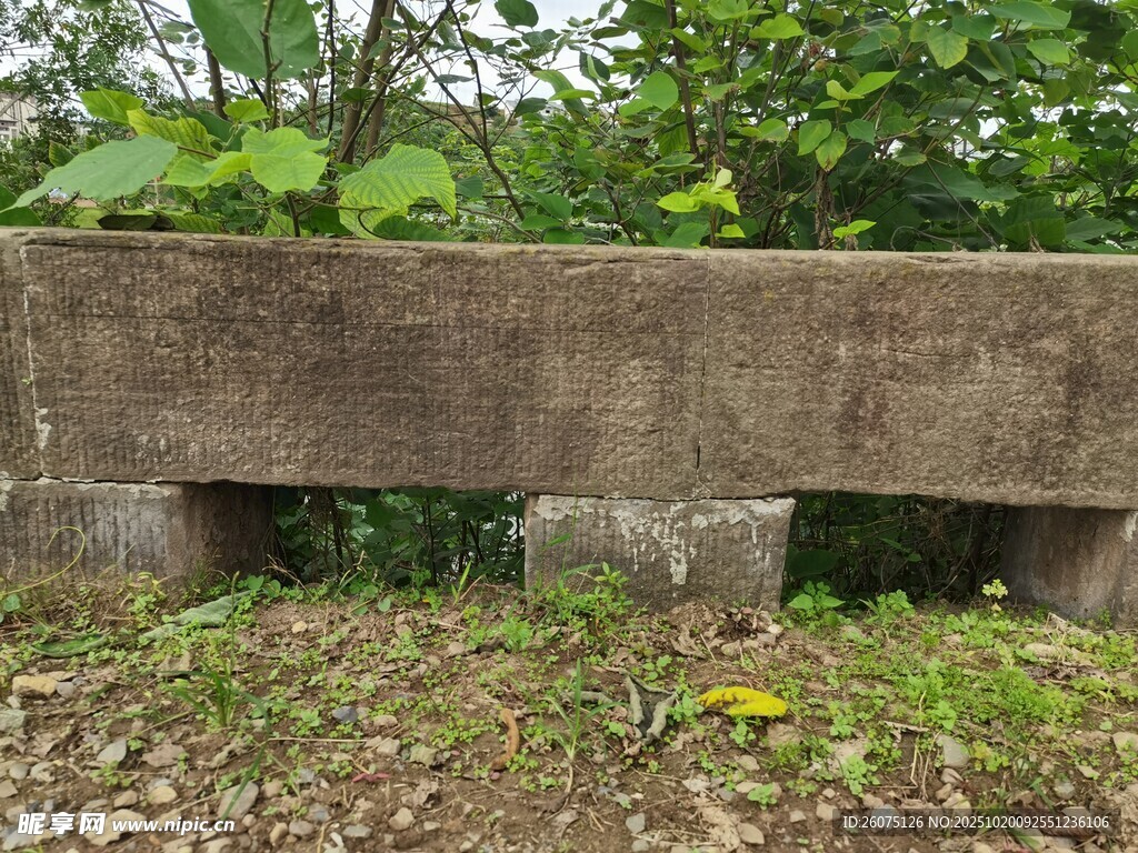 古老石凳静置于绿植间