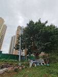 城市中绿植环绕的休闲角落