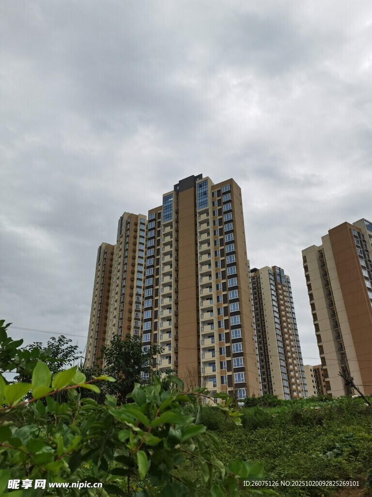 高楼林立于绿植环绕间