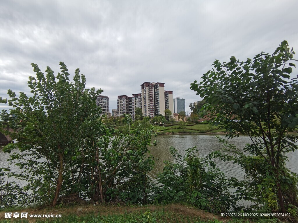 河畔绿树掩映中的城市建筑