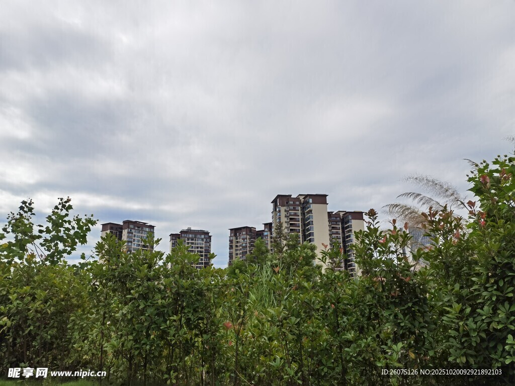 绿树掩映下的城市建筑群