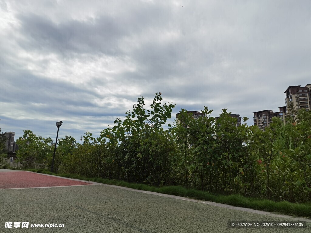 城郊道路旁的绿植与建筑