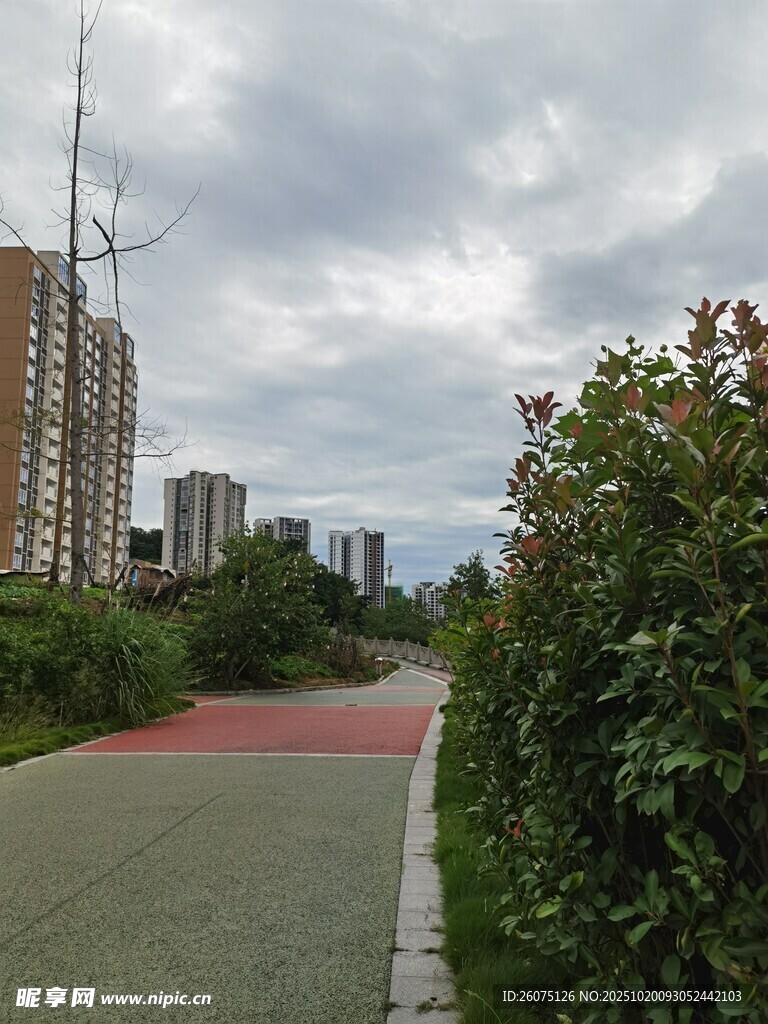 城市中宁静的绿植旁红色步道