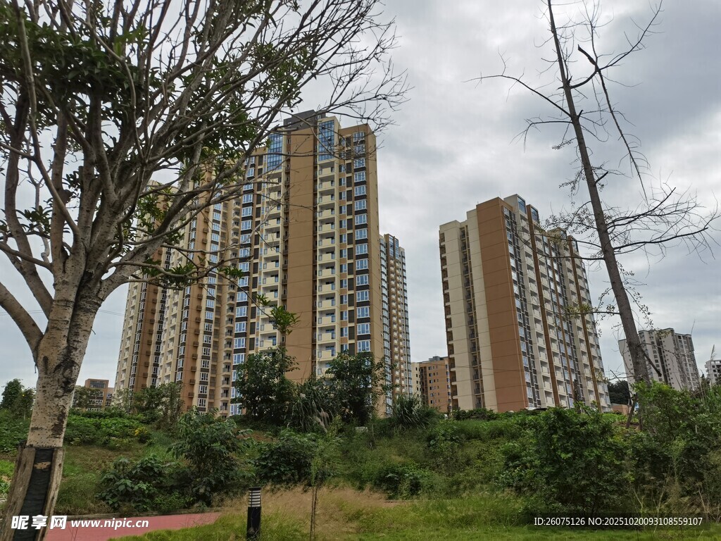 城市住宅区的绿植景观
