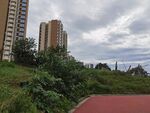 城市中绿植与高楼景观