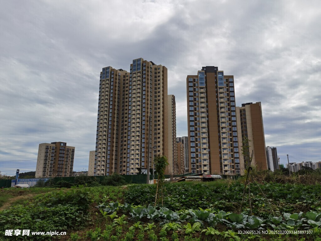 高楼林立间的田园景致