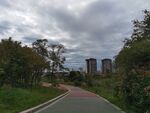 城市中绿意盎然的步道