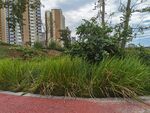 城市中绿意盎然的步道景观