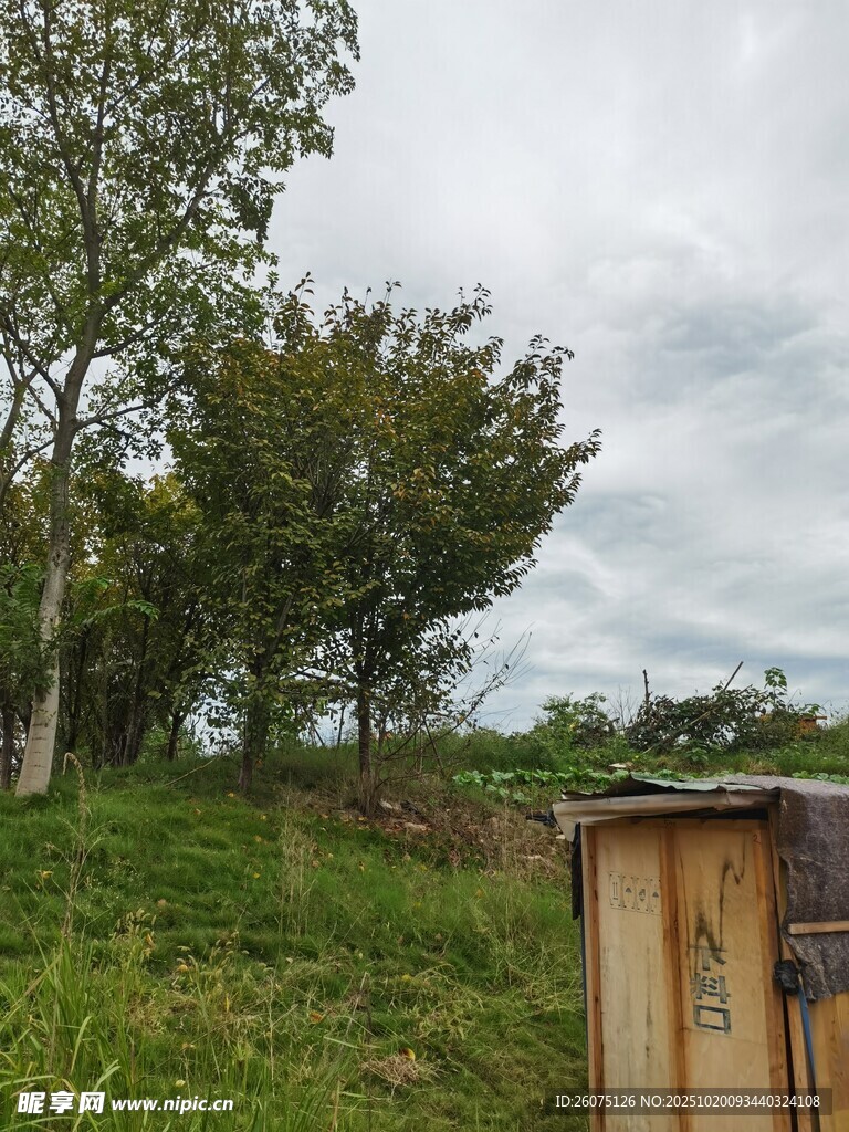 户外草地旁的木质设施