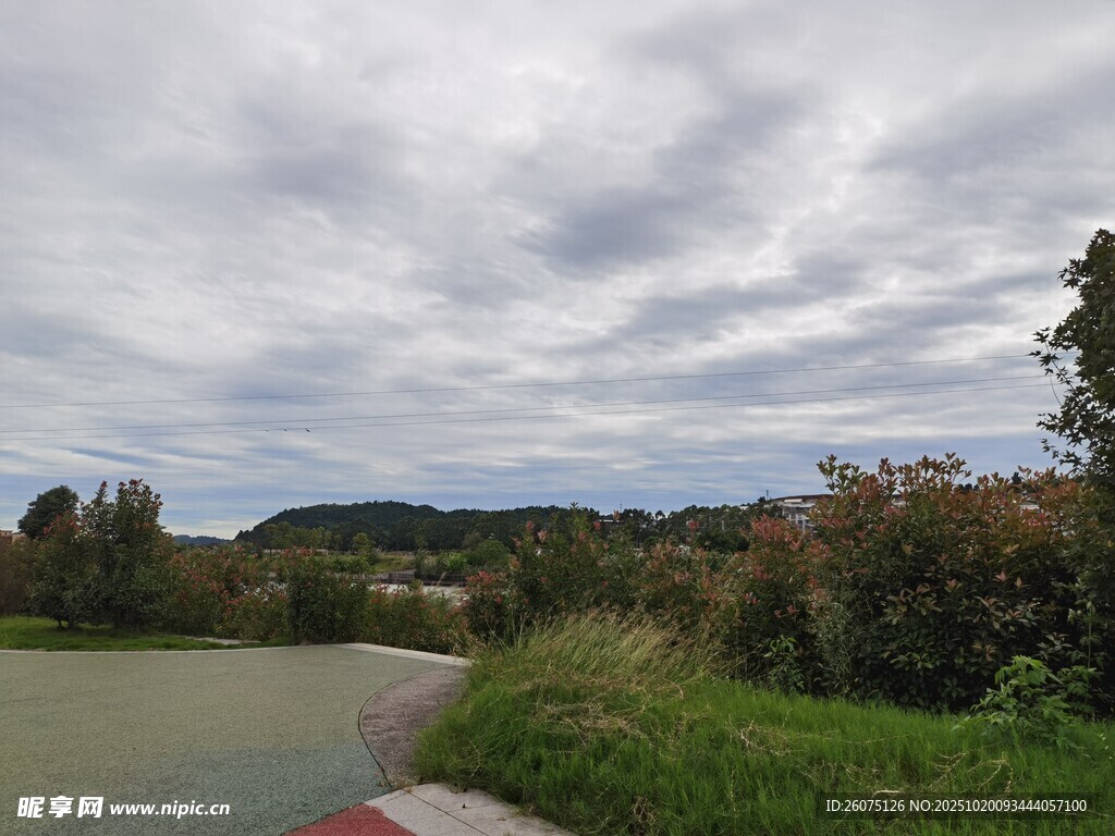 乡村公路边的自然景致