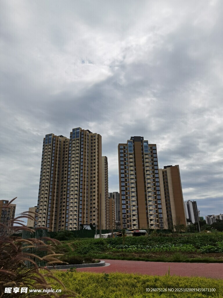 城市高楼与绿地景观
