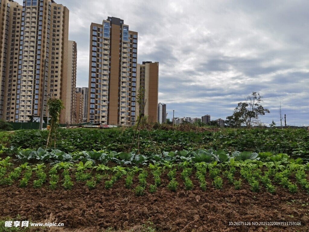 城市旁的田园风光