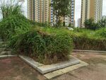 城市中绿植环绕的休憩角落