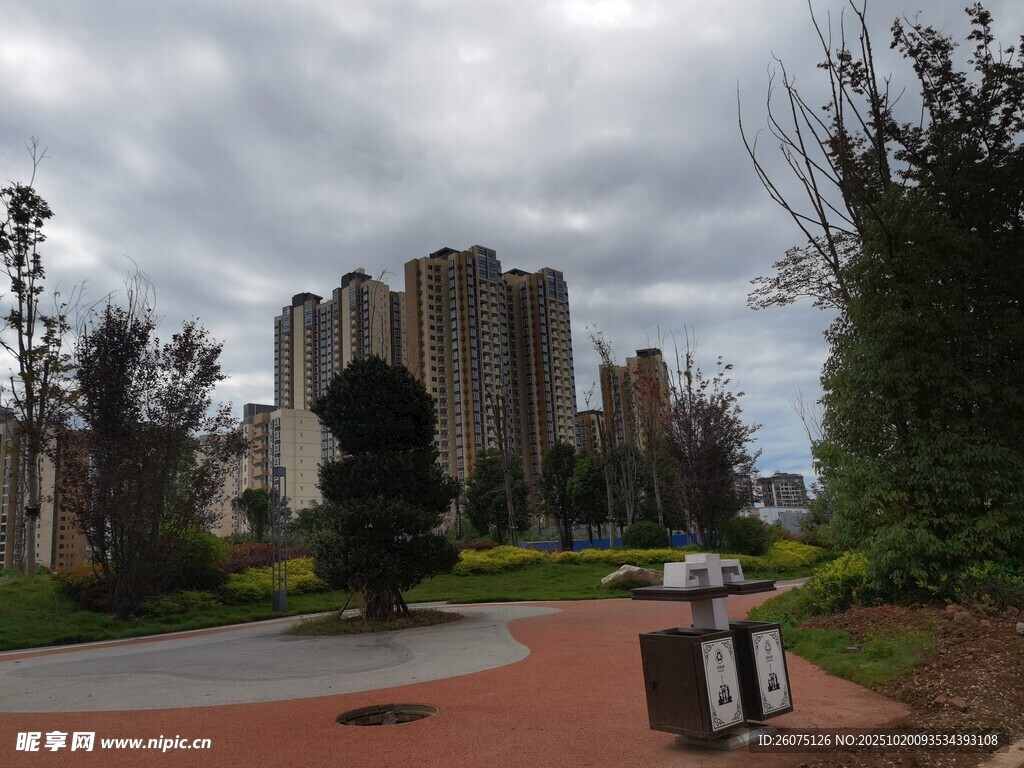 城市公园中的高楼景观