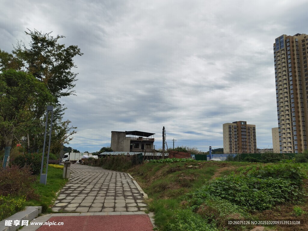 城郊小路旁的绿植与高楼