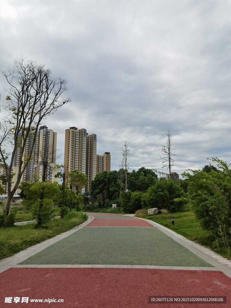 城市公园中的多彩步道