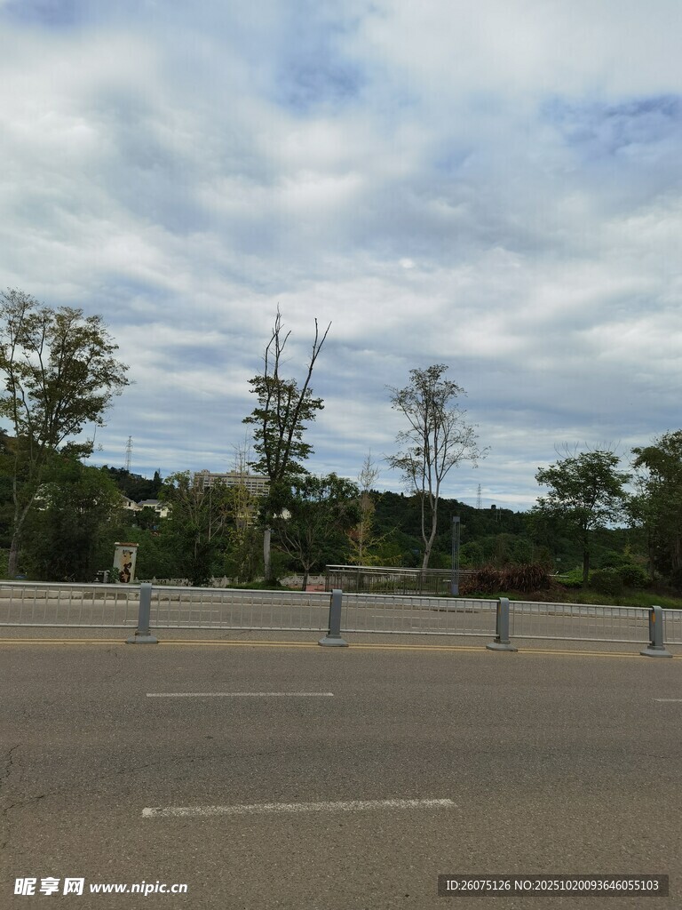 空旷道路与远处树木景观